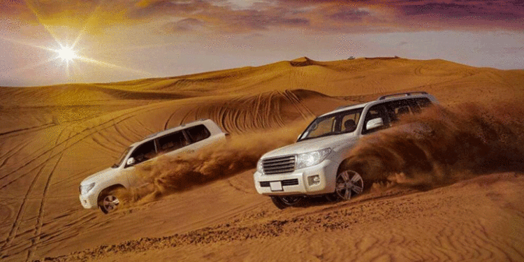 سافاری؛ تفریحی مهیج در کیش