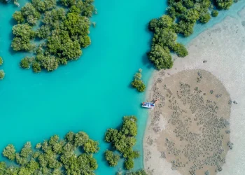 جاهای دیدنی قشم